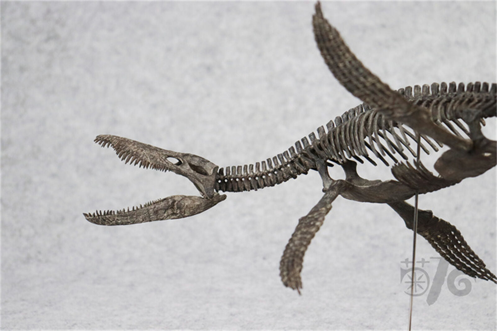 1/20 Pliosaurus Skeleton Model