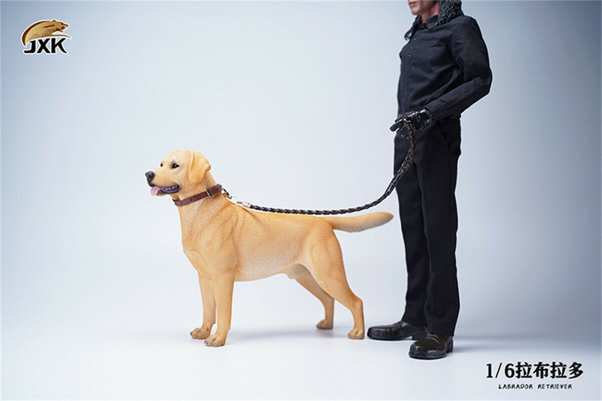 JXK 1/6 Labrador Retriever Dog Model