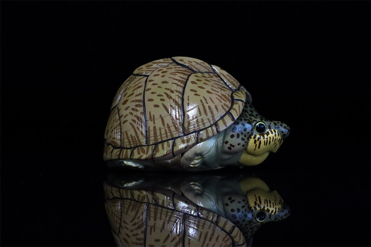 Animal Planet 08 Turtle Blind Box Model