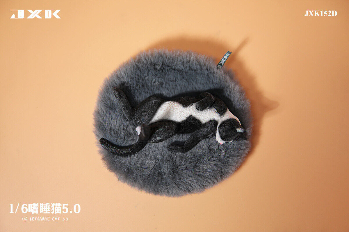 JXK 1/6 Lethargic Cat 5.0 Model