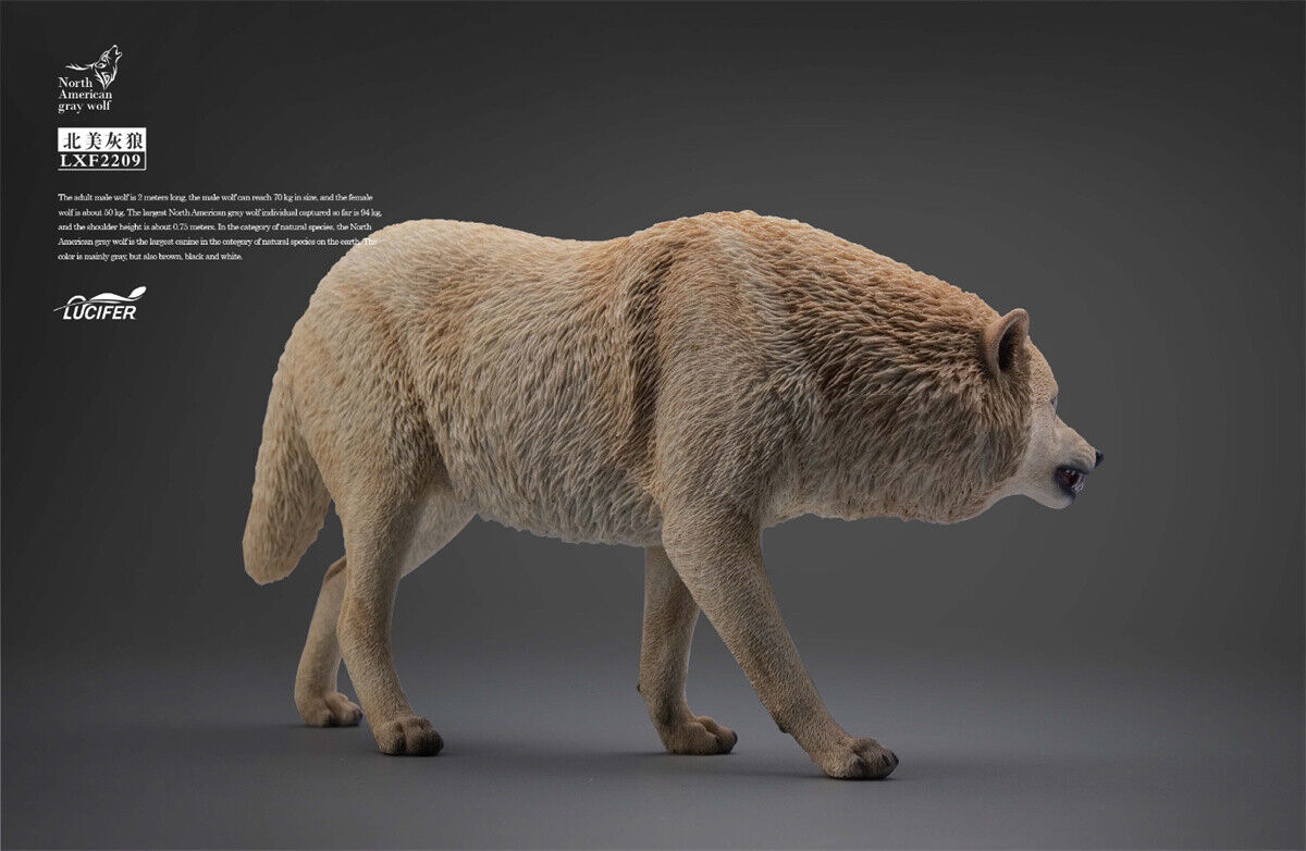 JXK&Lucifer 1/6 North American Gray Wolf Model