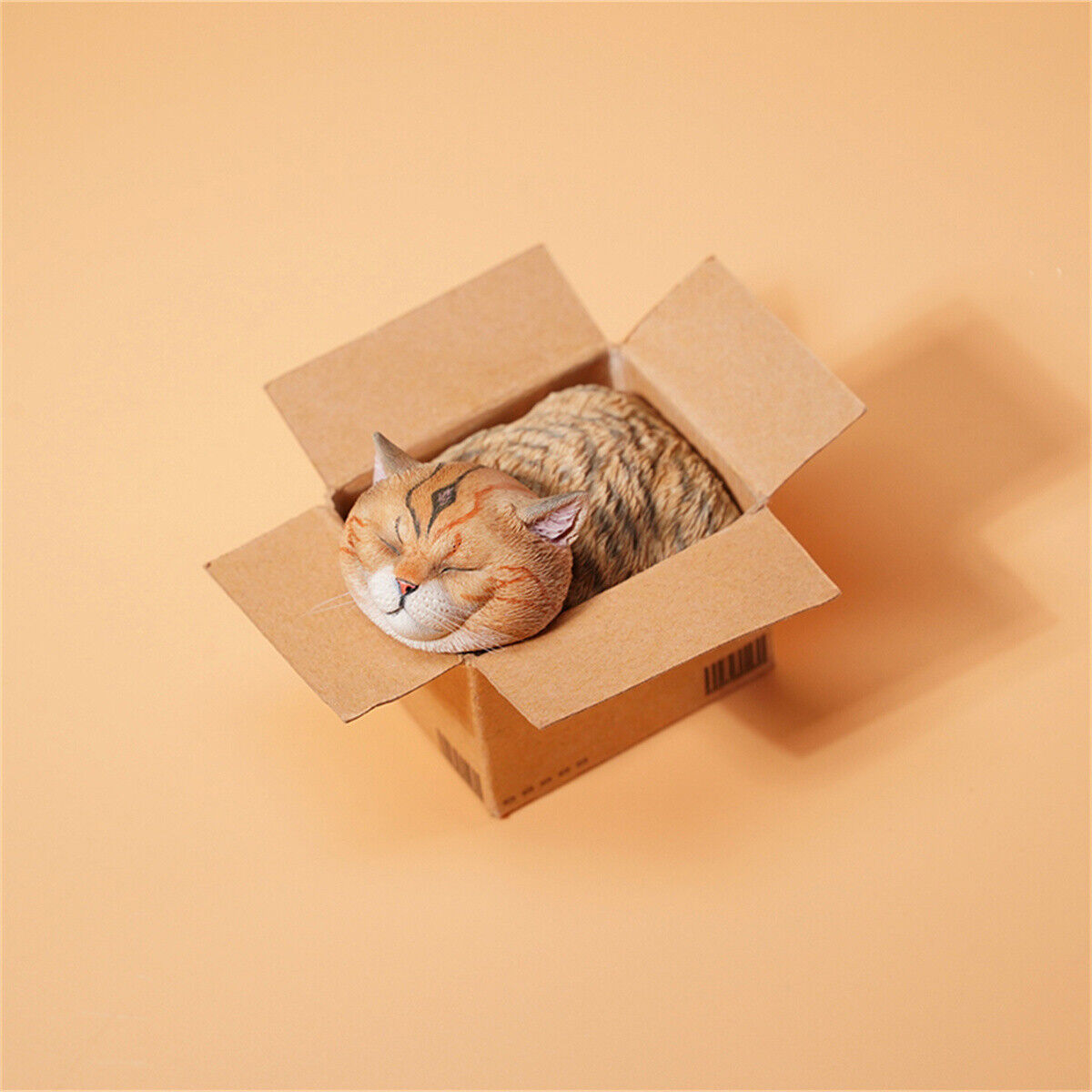 JXK The Cat In The Delivery Box Model