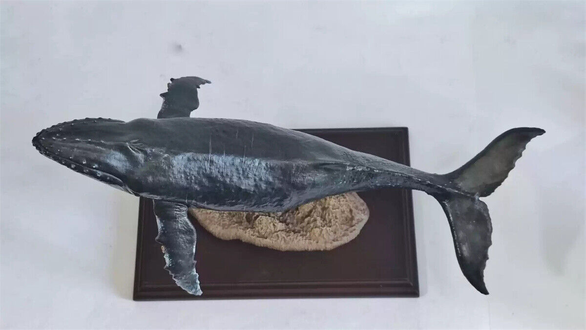 Xifu Studio 1/35 Humpback Whale Model