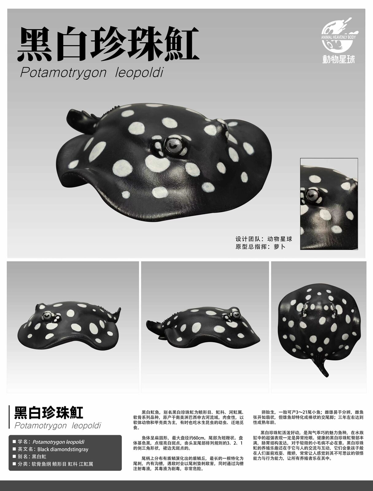 Animal Planet 11 Ancient Fish Blind Box Model