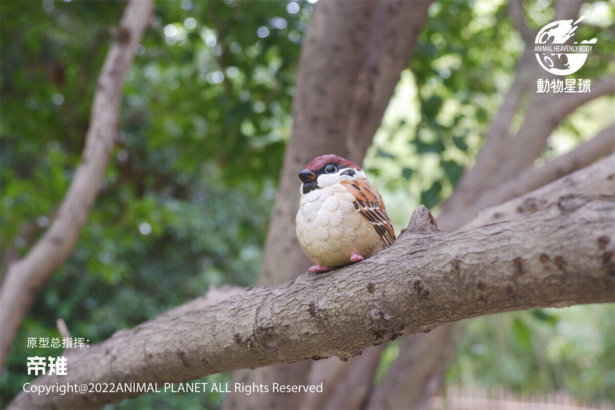 Animal Planet 10 Birds Blind Box Model