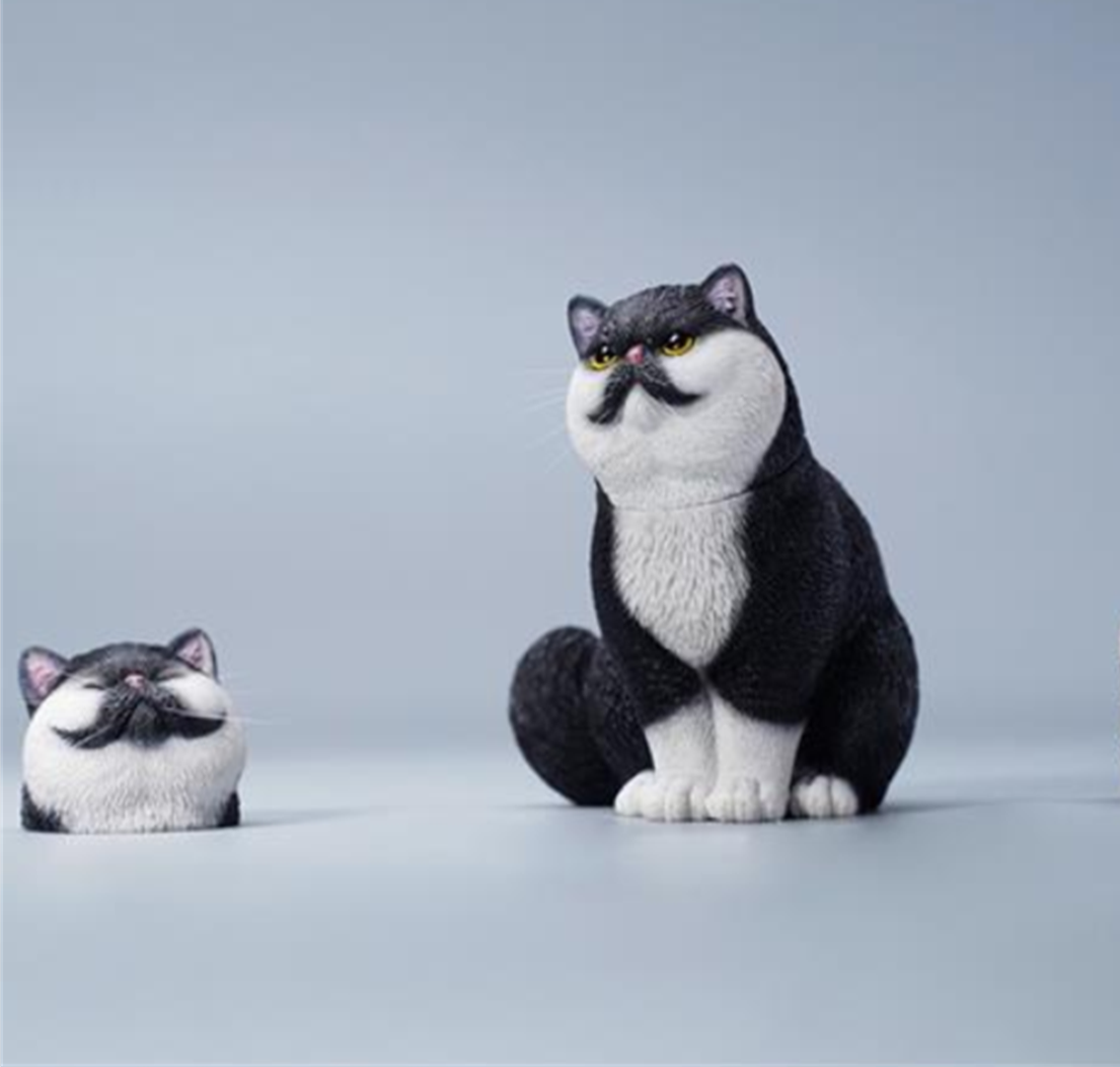 JXK 1/6 Change Head Exoticshorthair Cat Model
