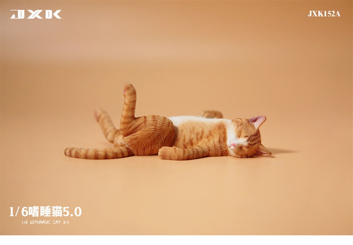 JXK 1/6 Lethargic Cat 5.0 Model