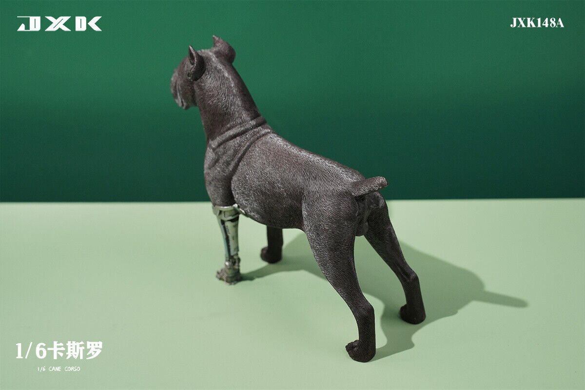 JXK 1/6 Cane Corso Model