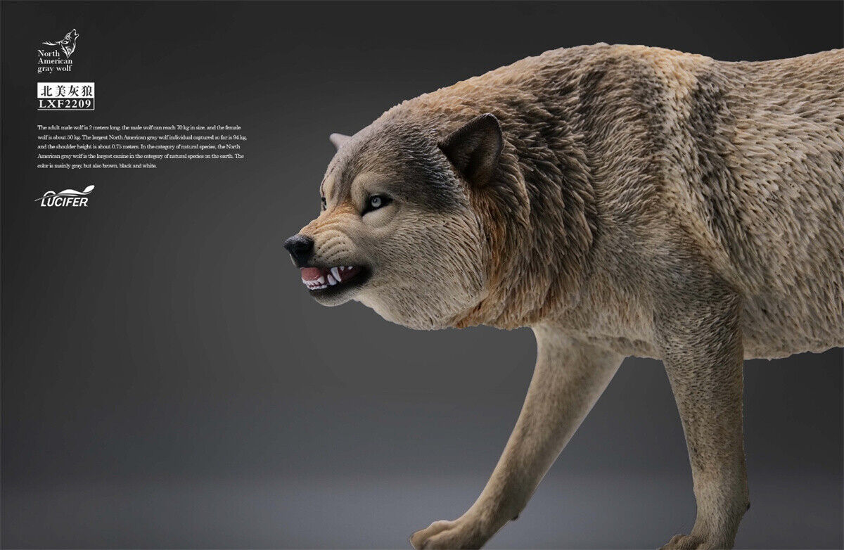 JXK&Lucifer 1/6 North American Gray Wolf Model