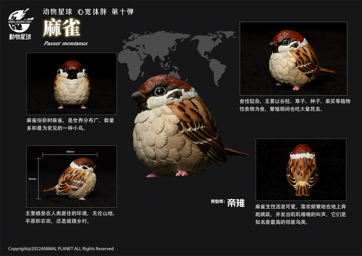 Animal Planet 10 Birds Blind Box Model