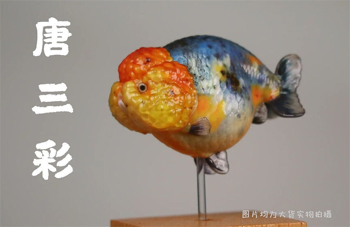 Lanshou Goldfish Model