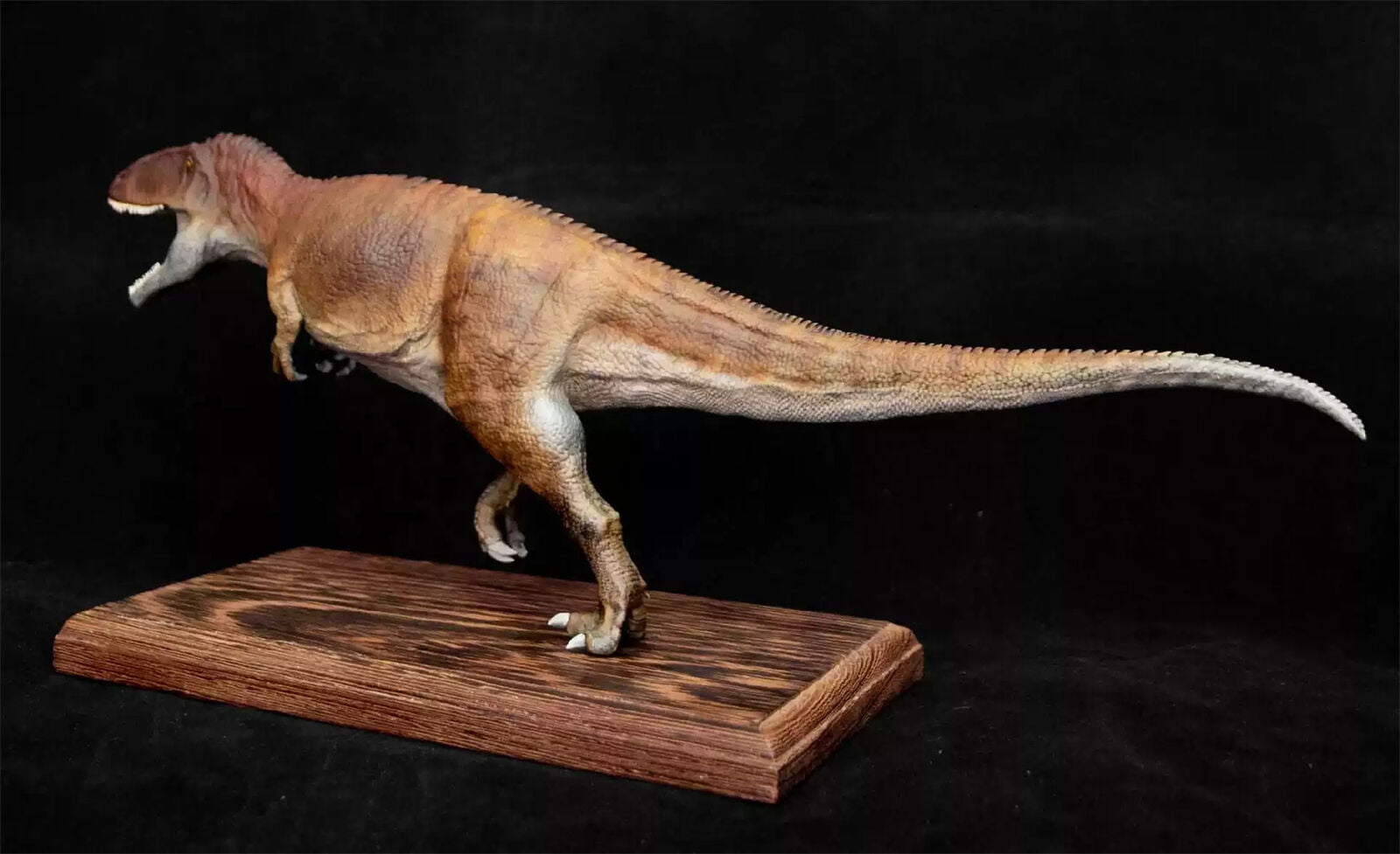 VWUVWU 1/35 Carcharodontosaurus Model