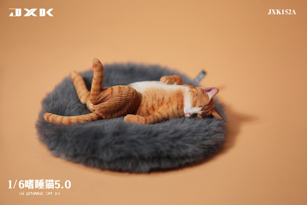 JXK 1/6 Lethargic Cat 5.0 Model