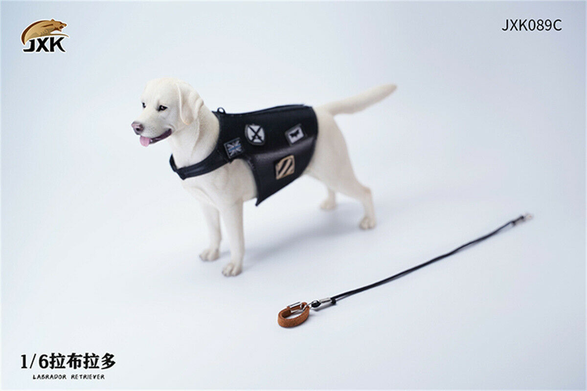 JXK 1/6 Labrador Retriever Dog Model