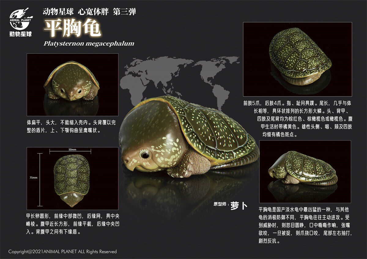 Animal Planet A Series of Laugh and Grow Fat 03 Model