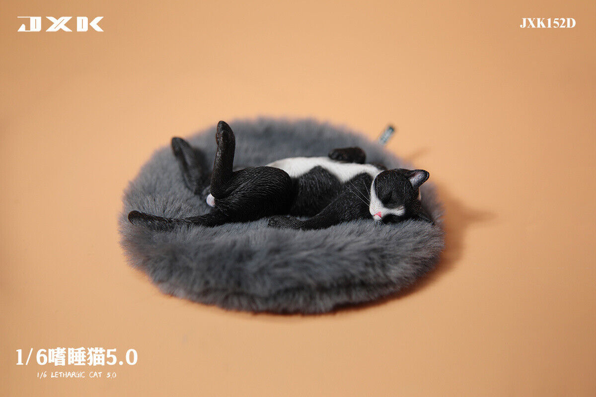 JXK 1/6 Lethargic Cat 5.0 Model