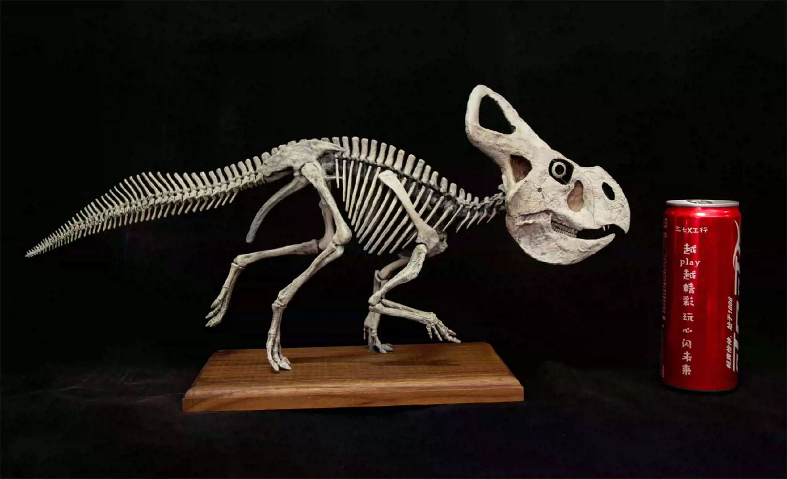 VWUVWU 1/4 Protoceratops Skeleton Model