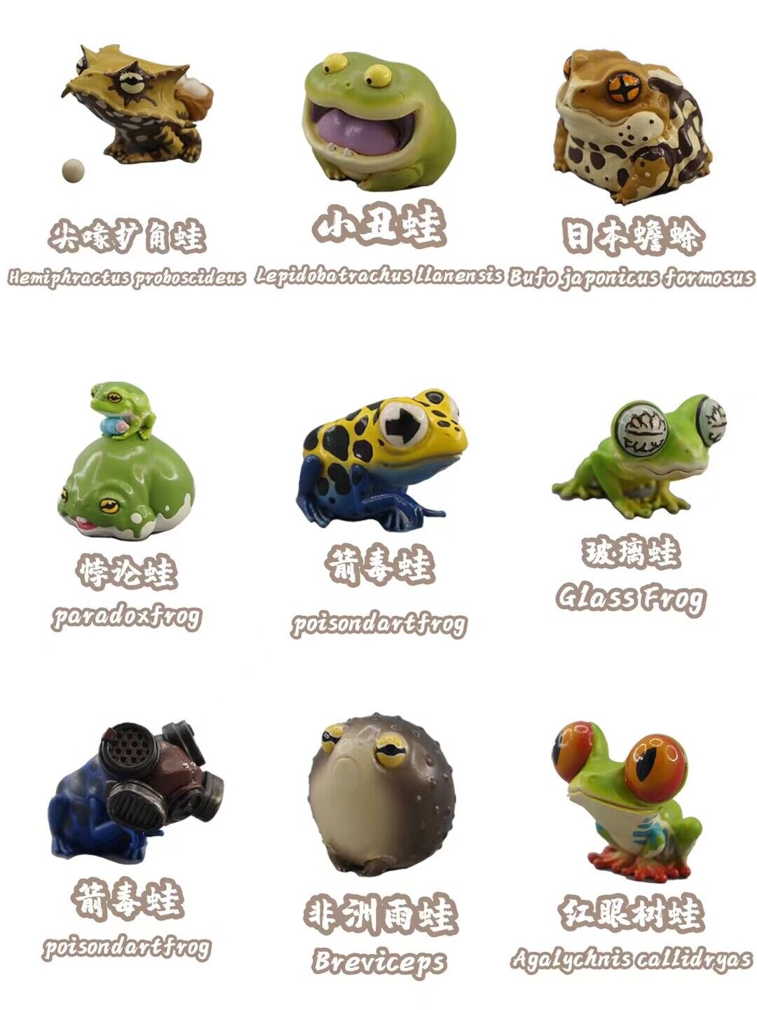 Frog Planet 24Pcs Limited Mini Ranidae Model