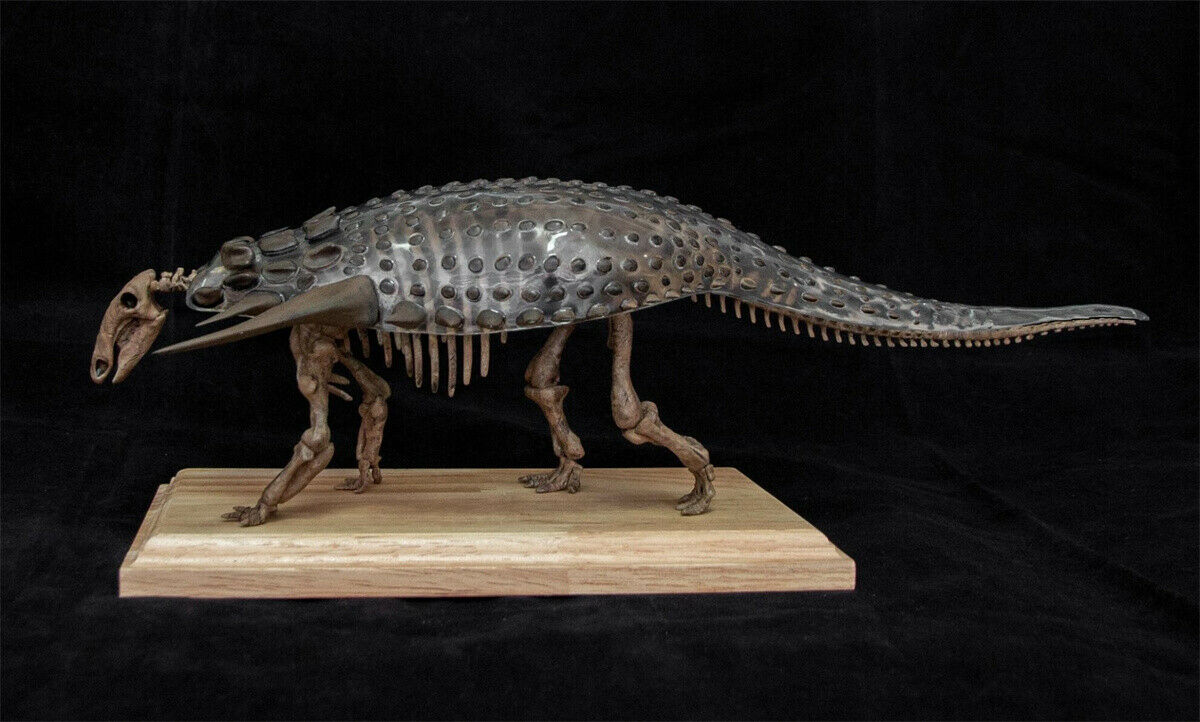 1/20 Edmontosaurus Model