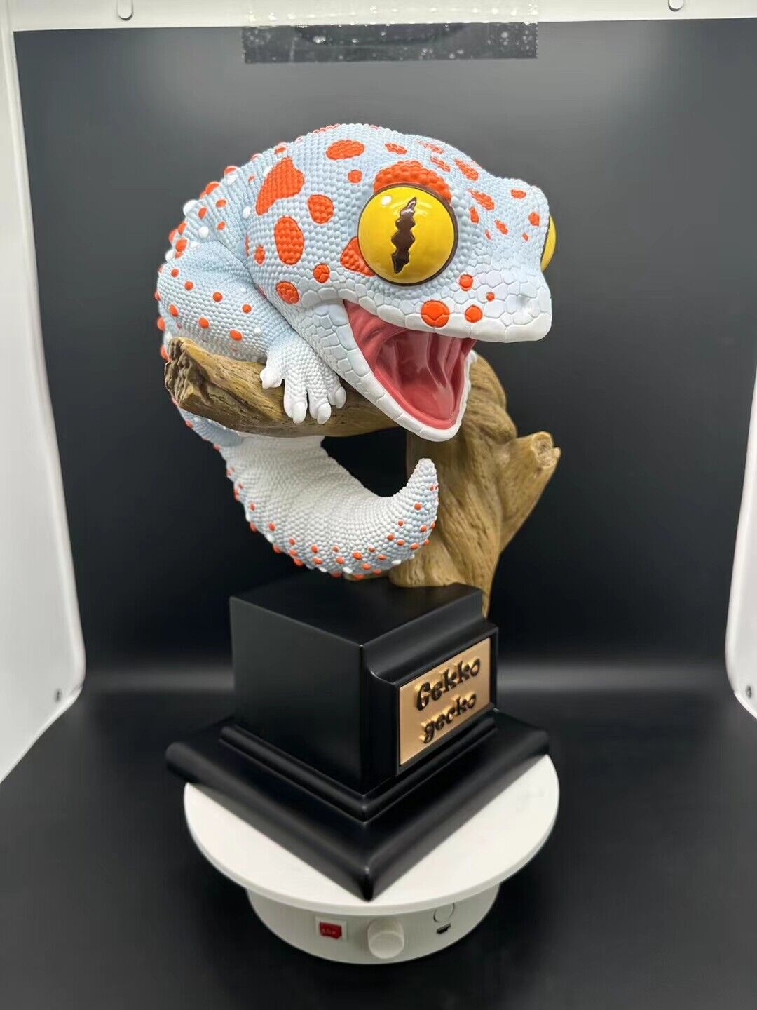 Wall lizard Plus Limited Model