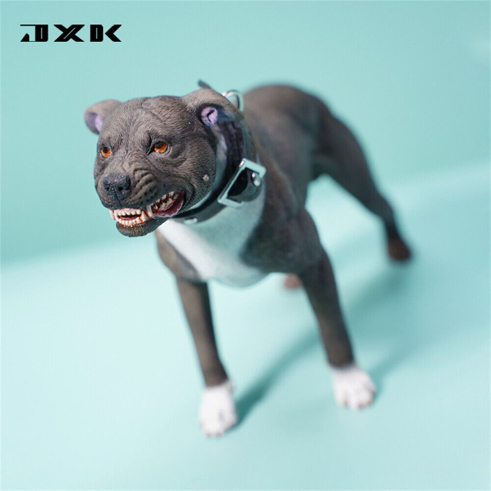 JXK 1/6 American Pit Bull Terrier Model