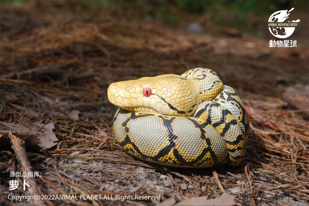 Animal Planet 09 Snake 2.0 Blind Box Model