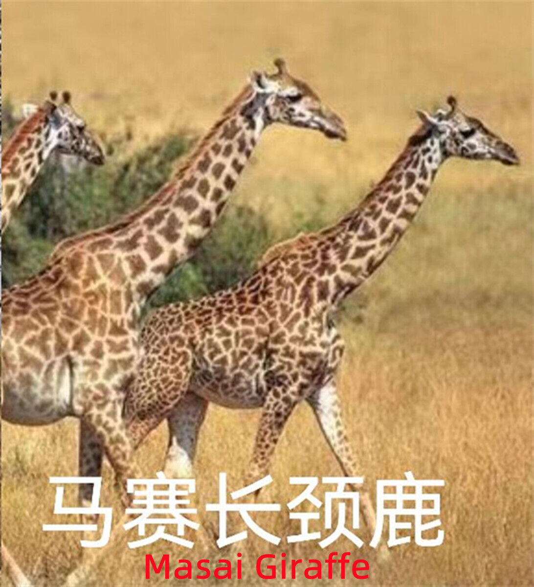 WANSHOU Studio The Giraffe Family Scene Statue