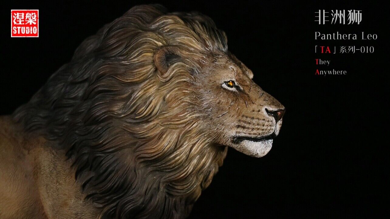 Panthera Leo TA Series-10 African Lion Model