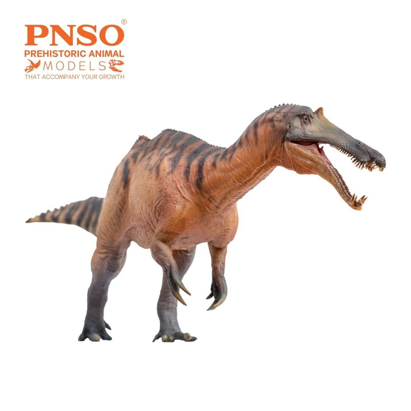 PNSO Sinopliosaurus Chongzuo Model