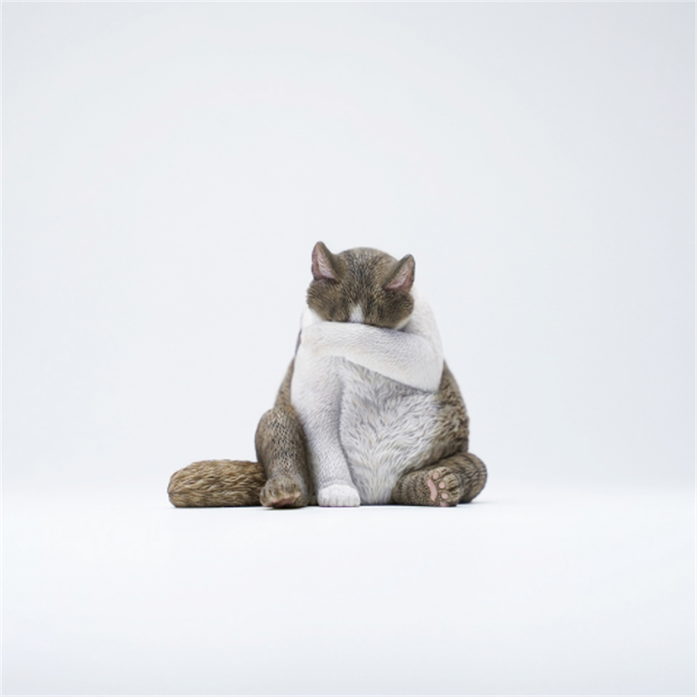 JXK 1/6 Lazy Cat 6.0 Model