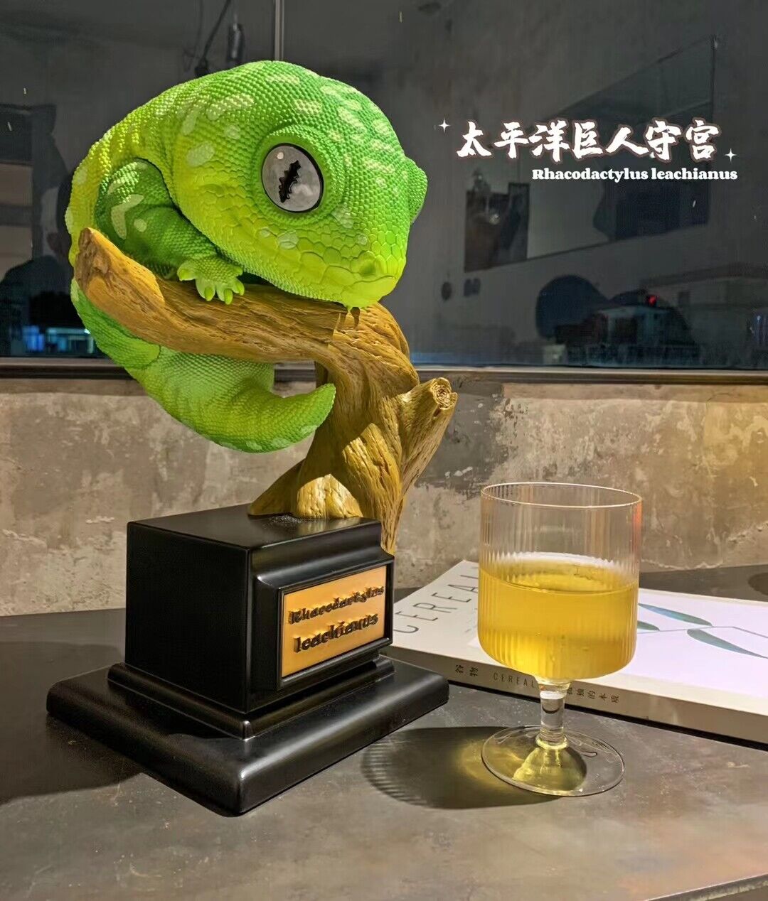 Wall lizard Plus Limited Model