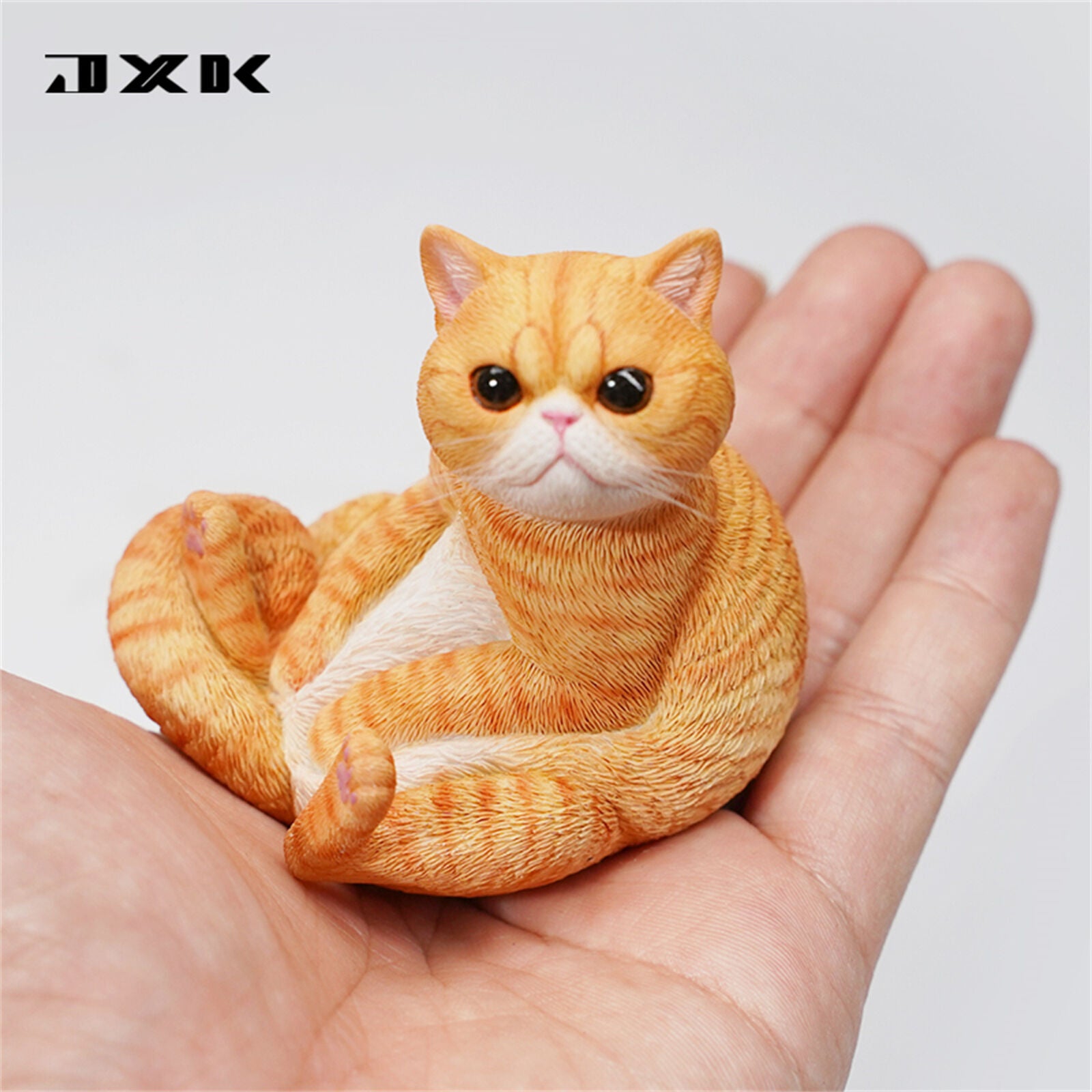 JXK 1/6 Lazy Cat 8.0 Model