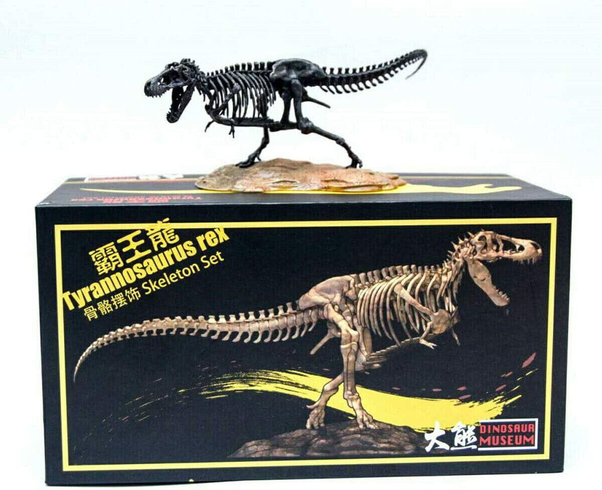 1/72 T-Rex Skeleton Model