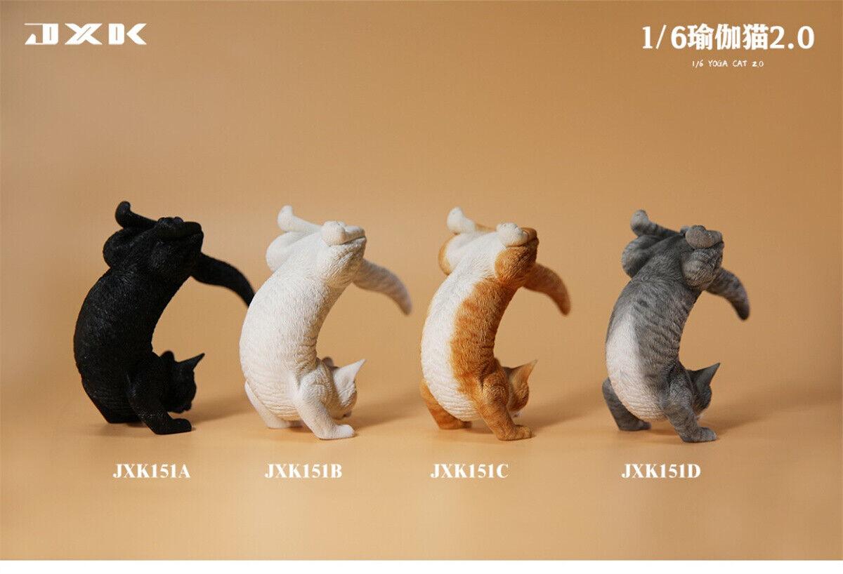 JXK 1/6 Yoga Cat 2.0 Model