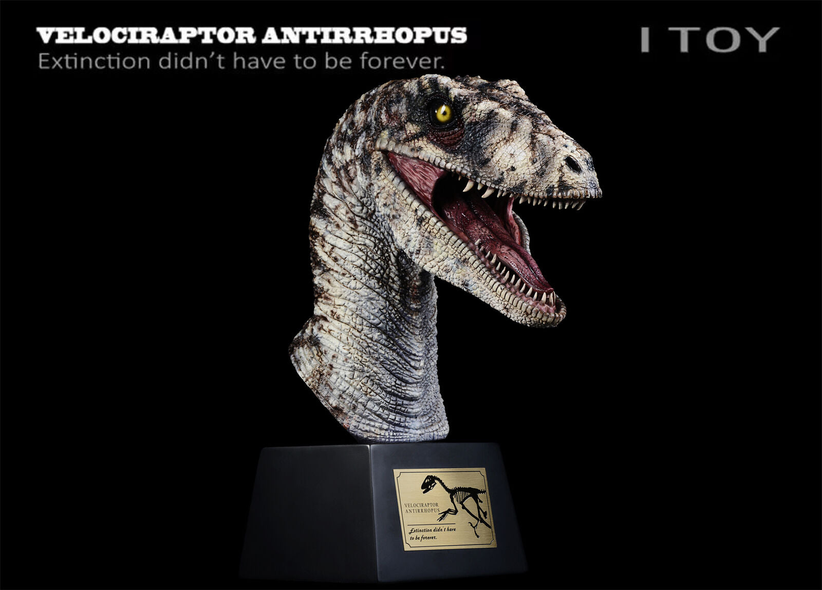 ITOY Velociraptor Antirrhopus Head Bust Model