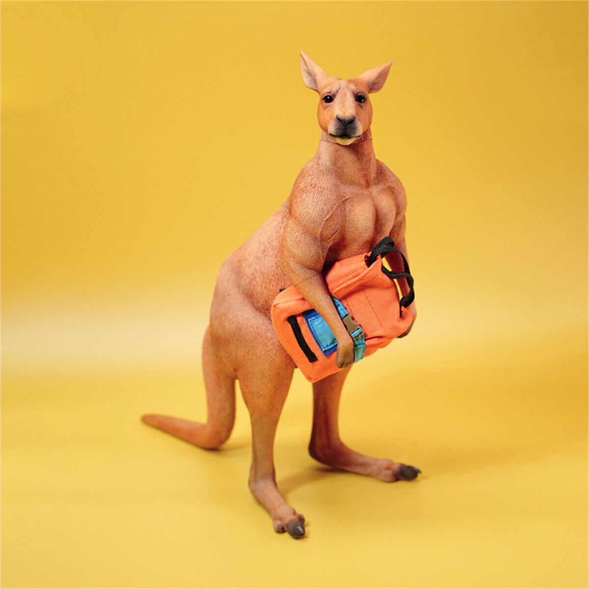 JXK 1/6 Kangaroo Model