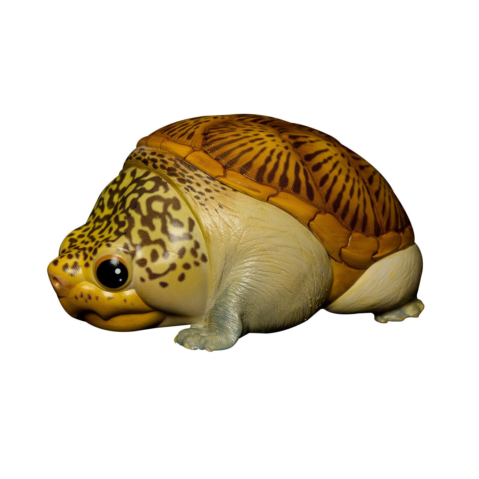 Animal Planet 08 Turtle Blind Box Model