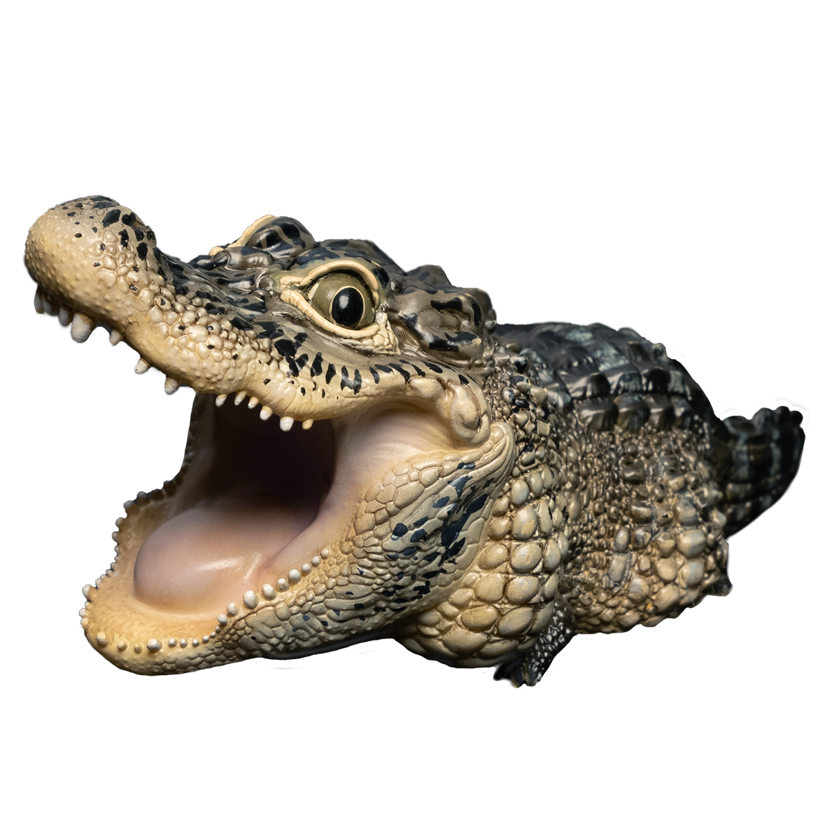 Animal Planet Trésors chinois 3 Modèle animal en voie de disparition