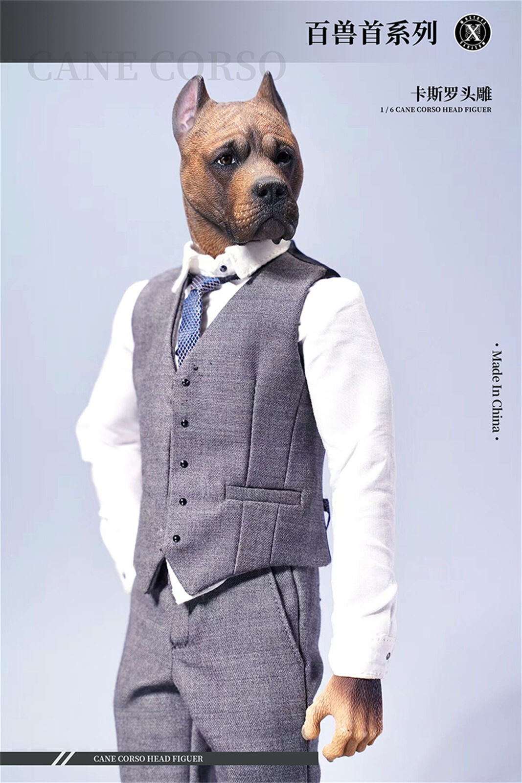 Mostoys 1/6 Cane Corso Head Figure