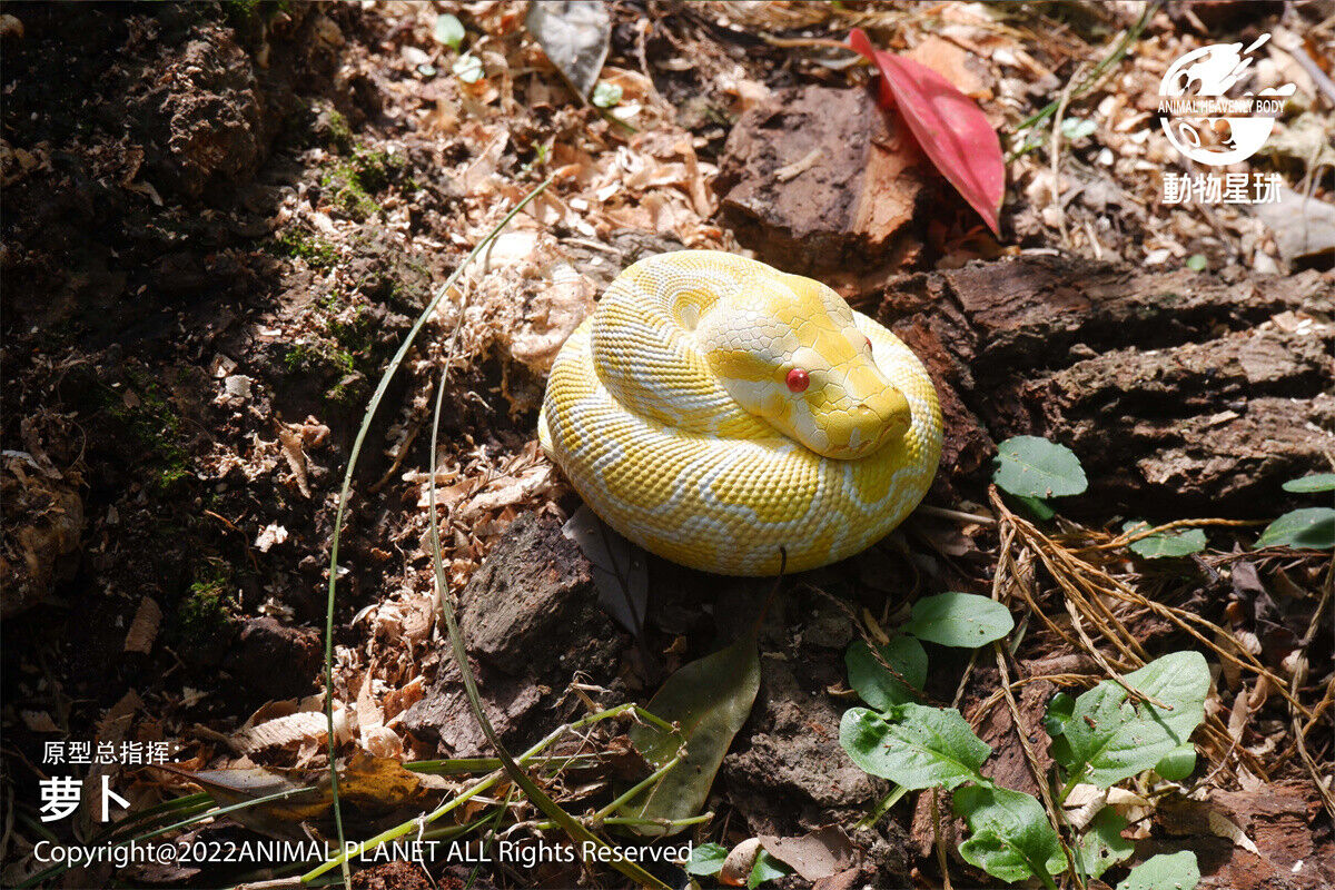 Animal Planet 09 Snake 2.0 Blind Box Model