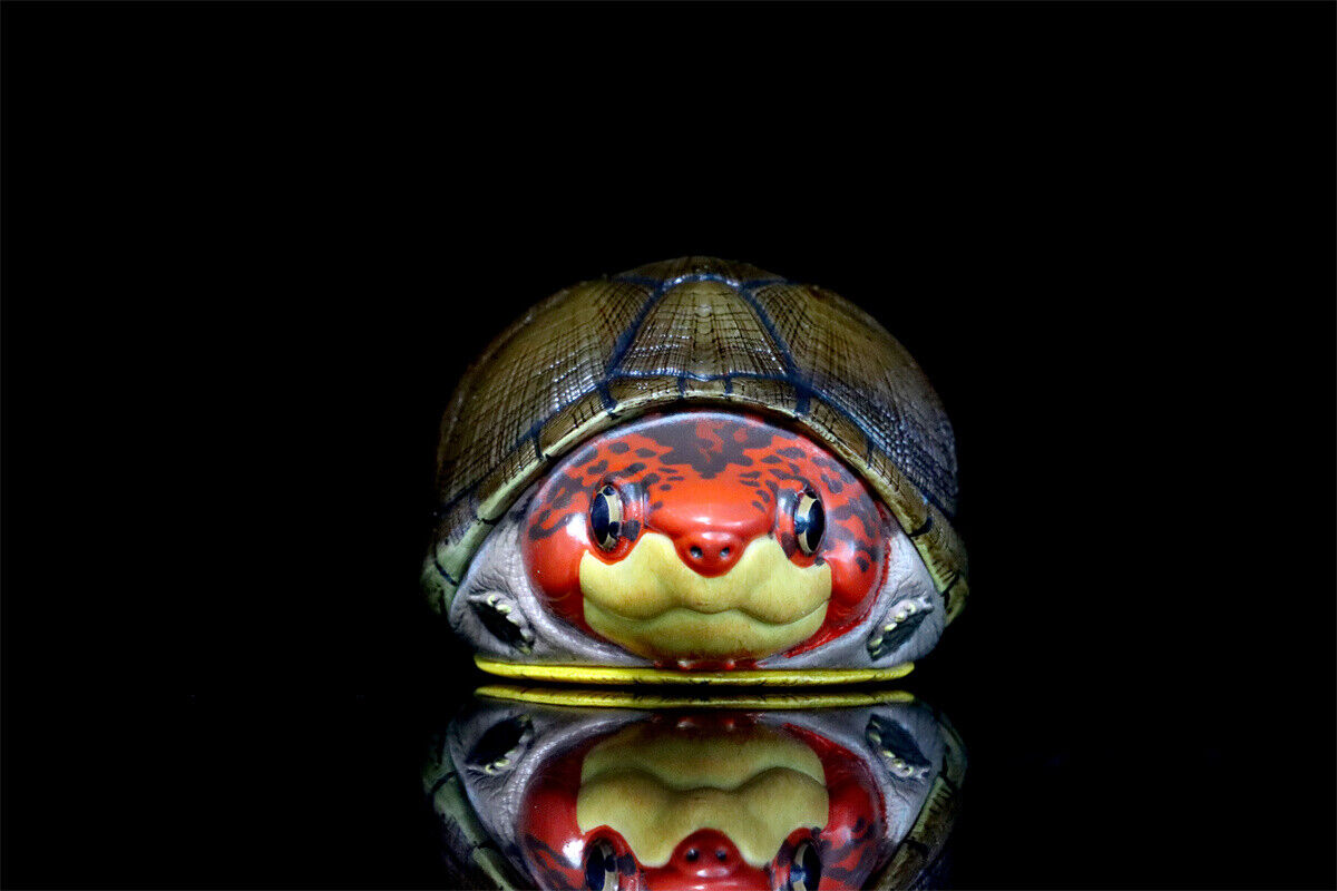 Animal Planet 08 Turtle Blind Box Model