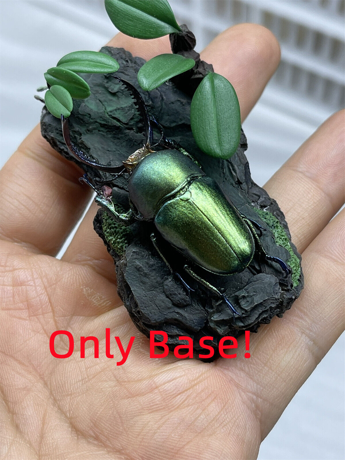 Colorful Insect 02 Blind Box Model