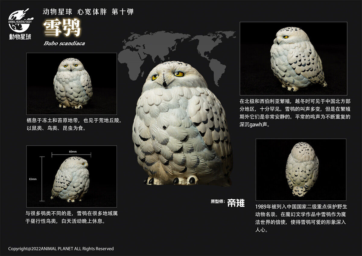 Animal Planet 10 Birds Blind Box Model