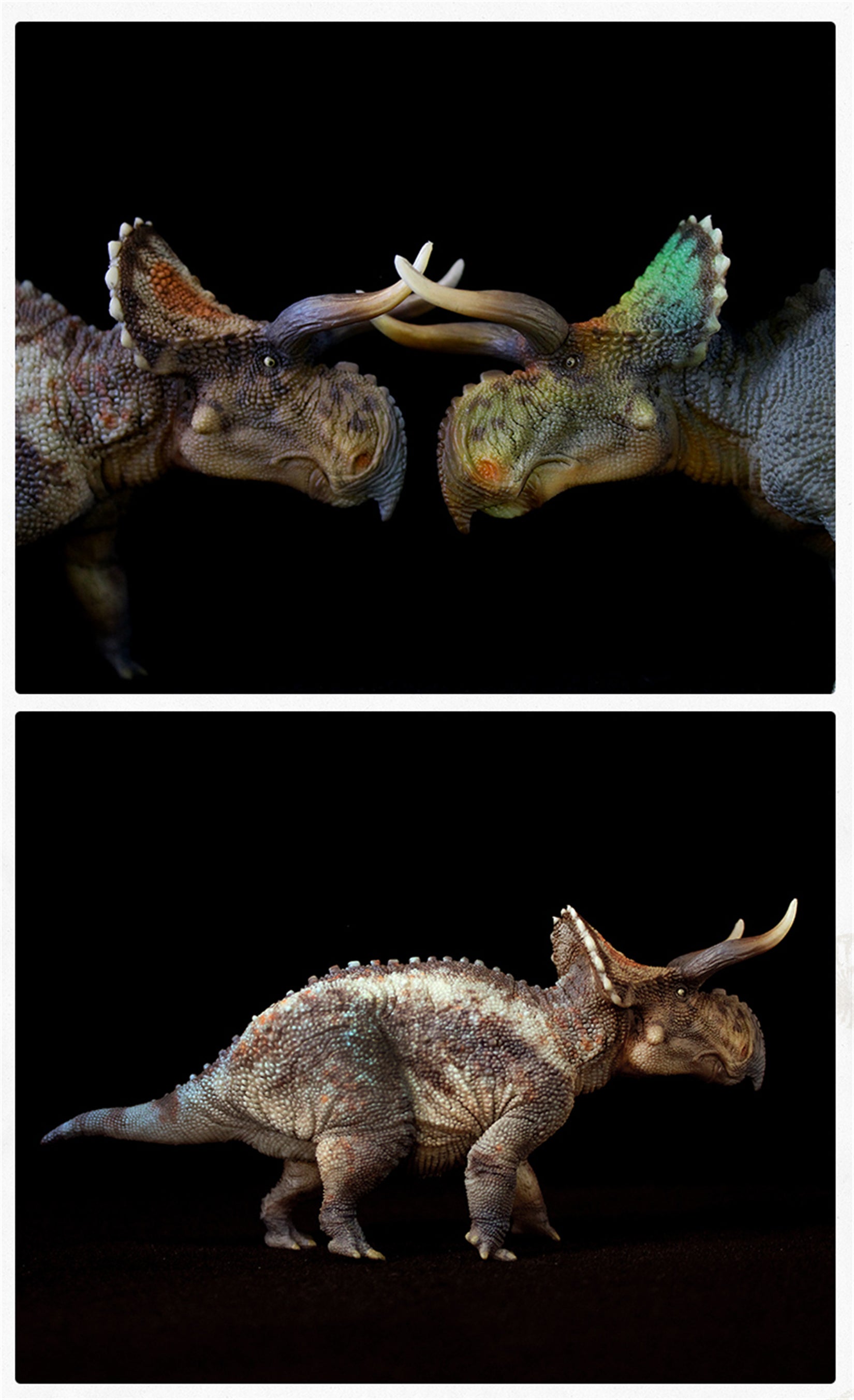 GRTOYS 1:35 Scale Nasutoceratops titusi Model