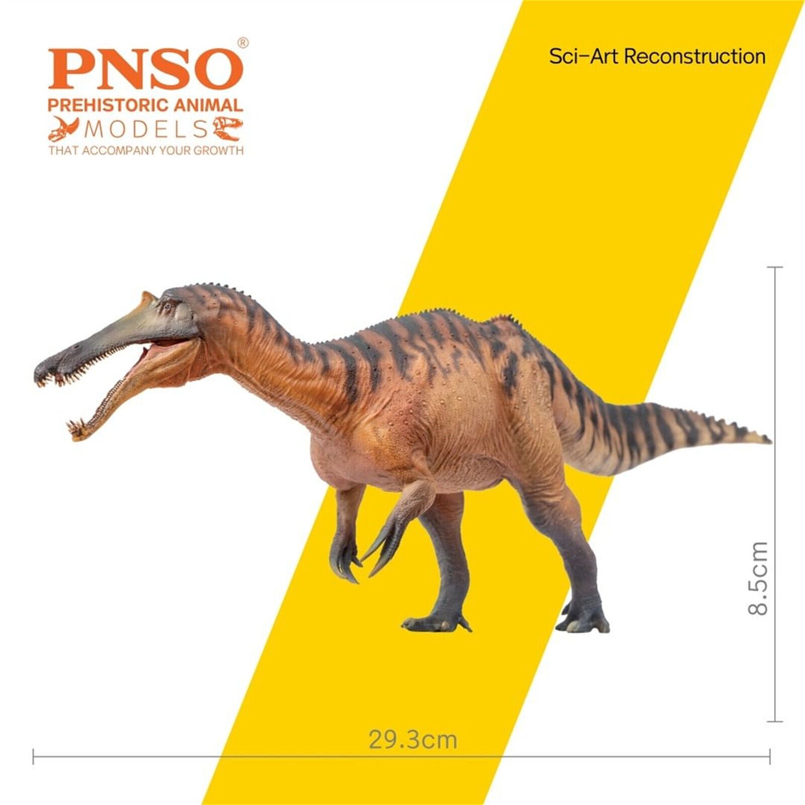 PNSO Sinopliosaurus Chongzuo Model