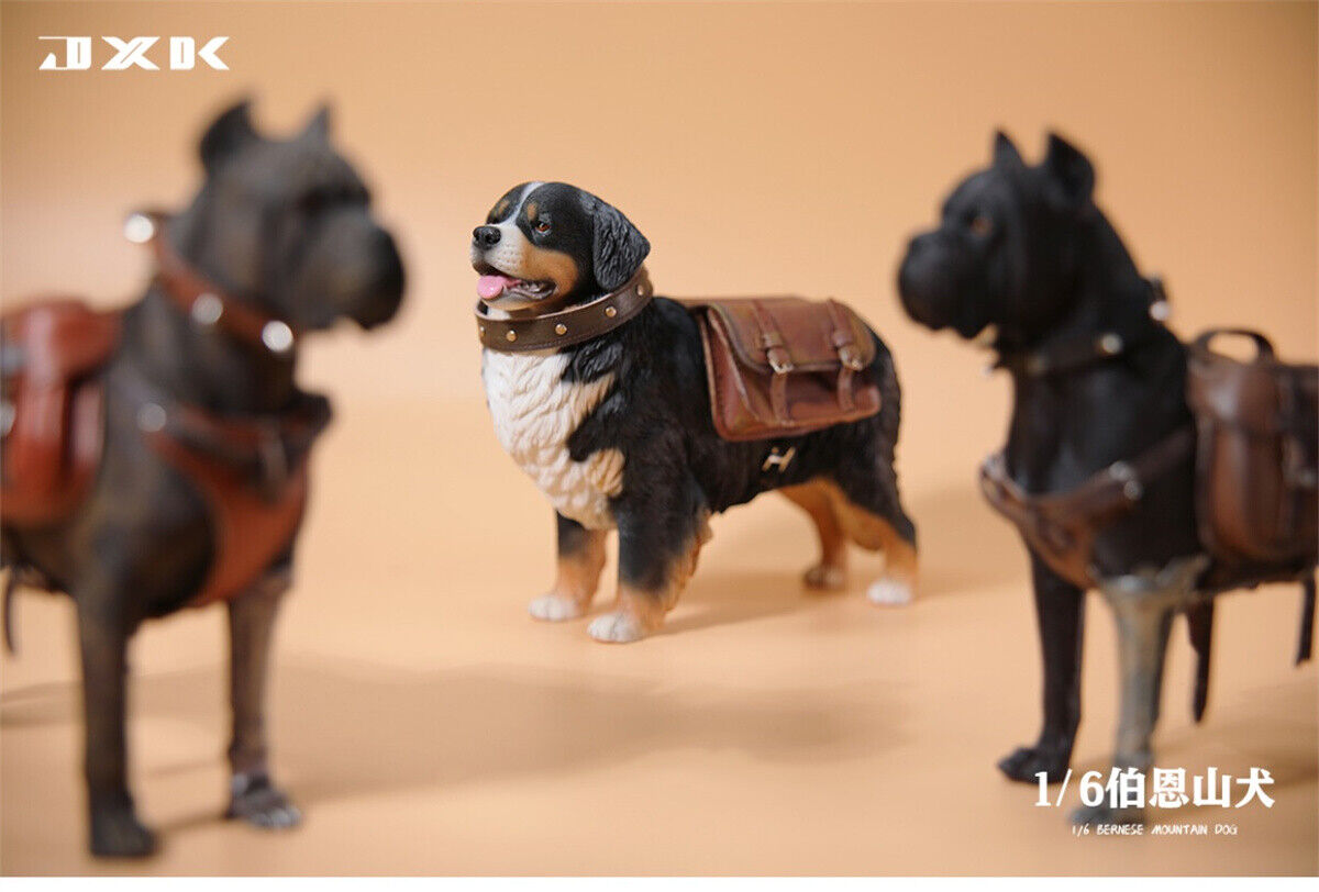 JXK 1/6 Bernese Mountain Dog Model