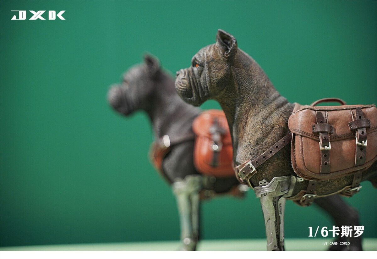 JXK 1/6 Cane Corso Model