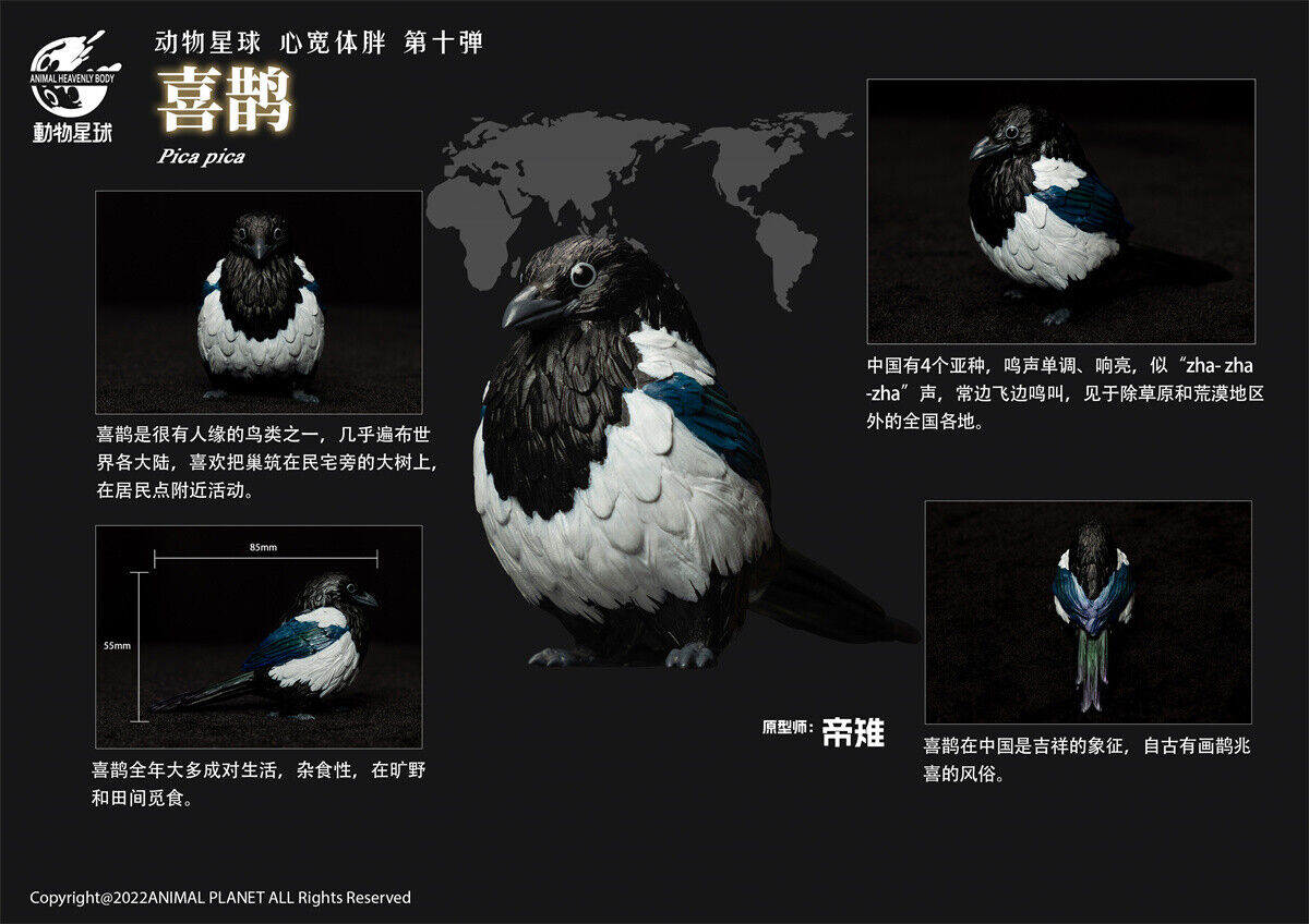 Animal Planet 10 Birds Blind Box Model