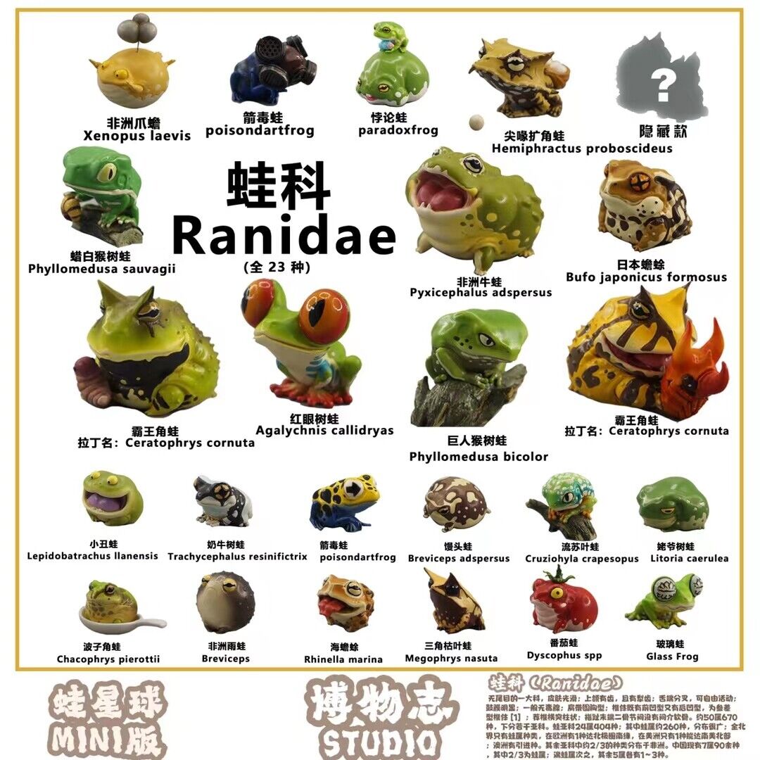 Frog Planet 24Pcs Limited Mini Ranidae Model