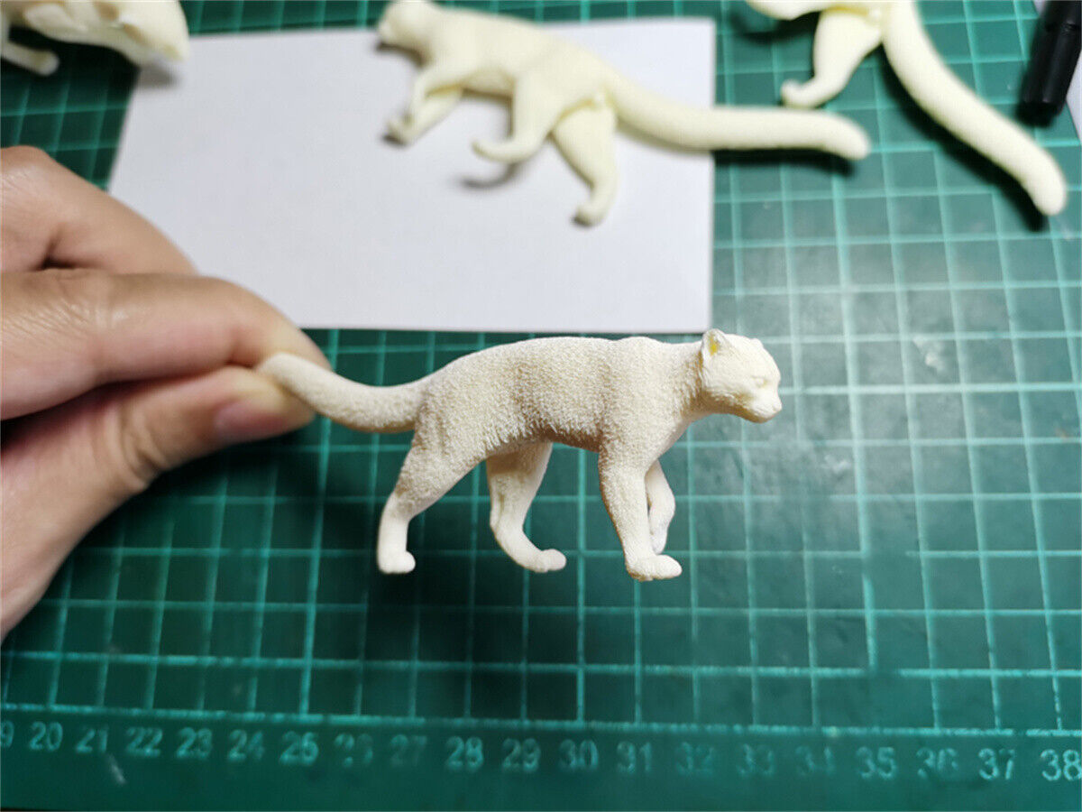 Woo-Model Studio 1/10 Nepalese Marbled Cat Model